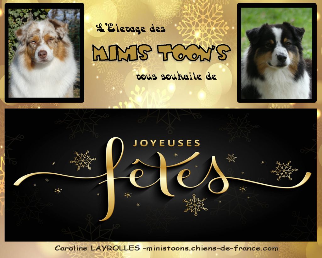 Joyeuses Fêtes